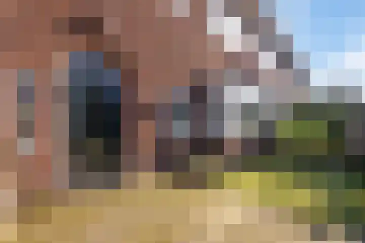 Orthenseweg 51 's-Hertogenbosch thumbnail 6