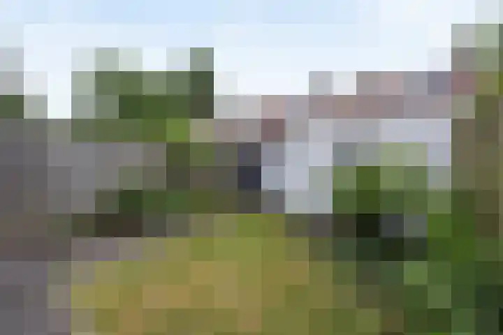 Orthenseweg 93 's-Hertogenbosch thumbnail 39