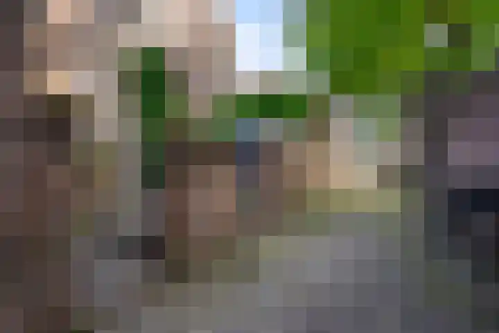 Orthenstraat 21 's-Hertogenbosch thumbnail 21