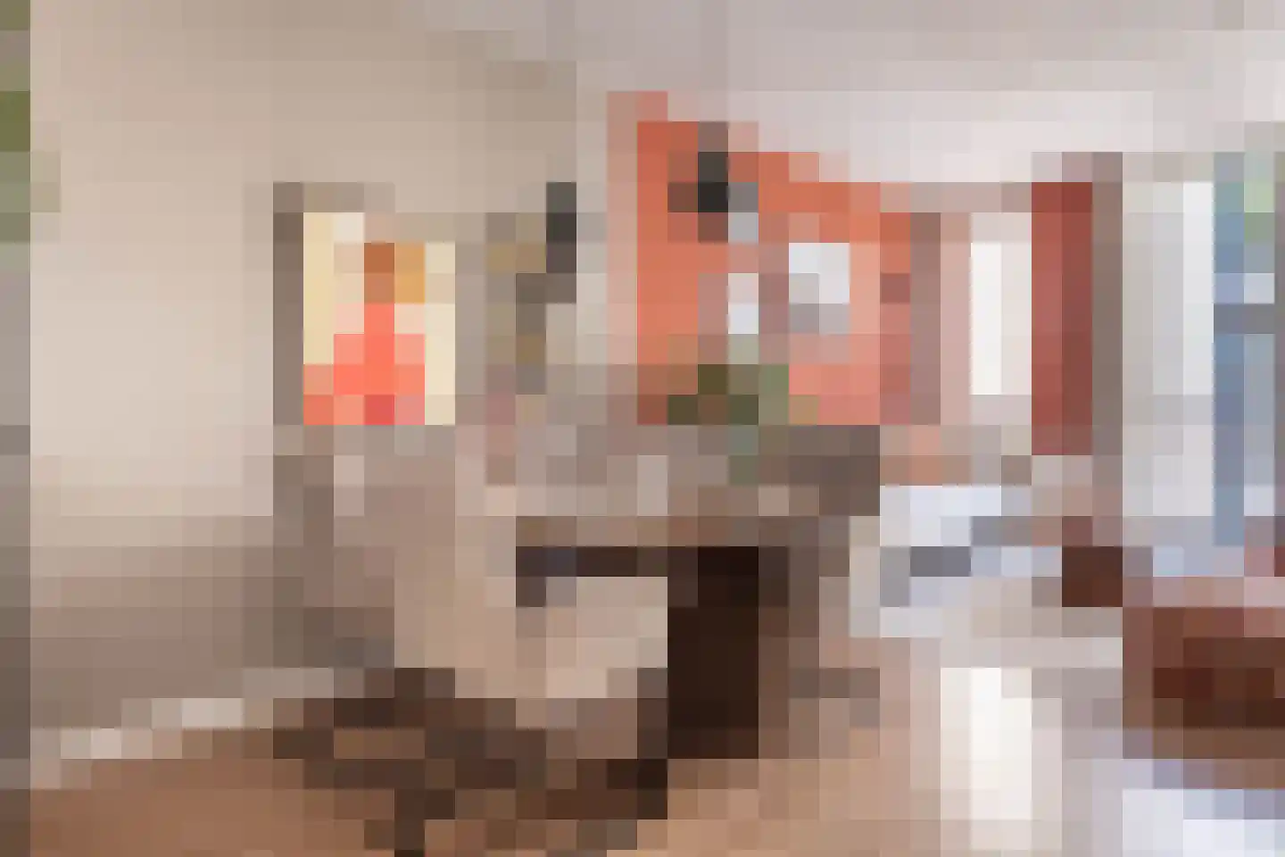 Orthenstraat 45 B 's-Hertogenbosch thumbnail 10