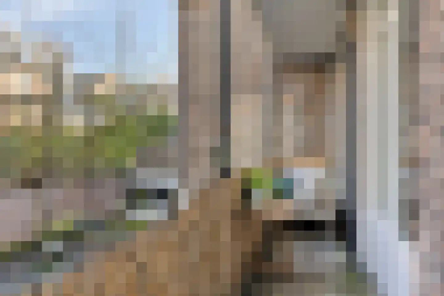 Orthenstraat 79 B 's-Hertogenbosch thumbnail 4
