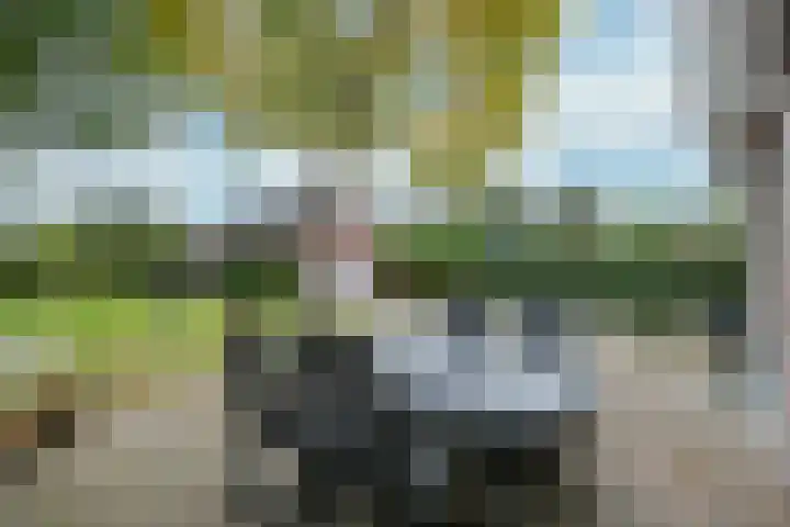 Ortjensveldweg 14 Vlodrop thumbnail 24