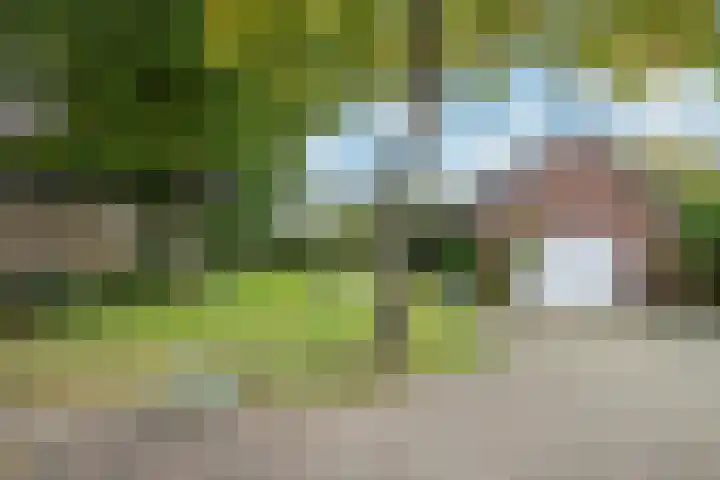 Ortjensveldweg 14 Vlodrop thumbnail 25