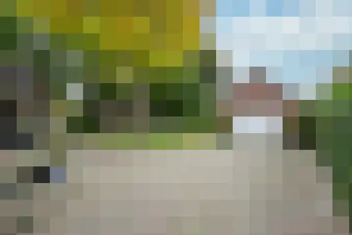 Ortjensveldweg 14 Vlodrop thumbnail 26