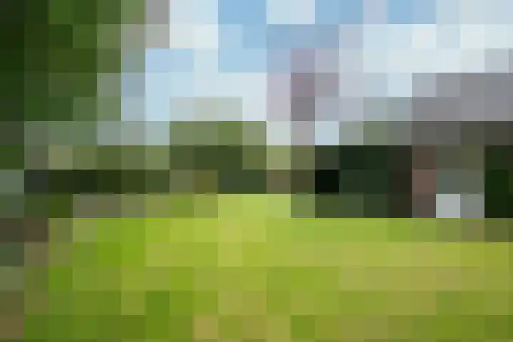 Ortjensveldweg 14 Vlodrop thumbnail 29