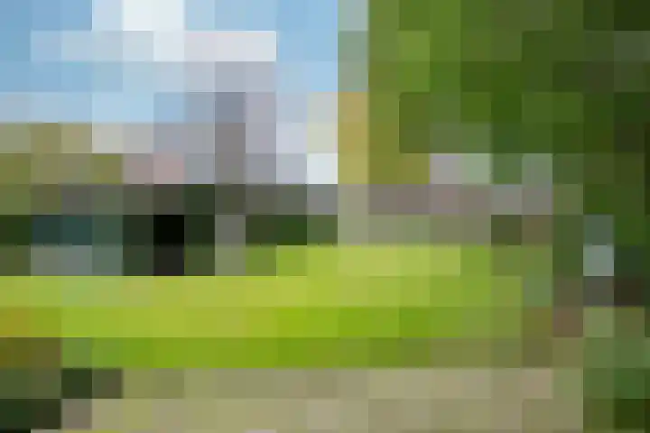 Ortjensveldweg 14 Vlodrop thumbnail 30