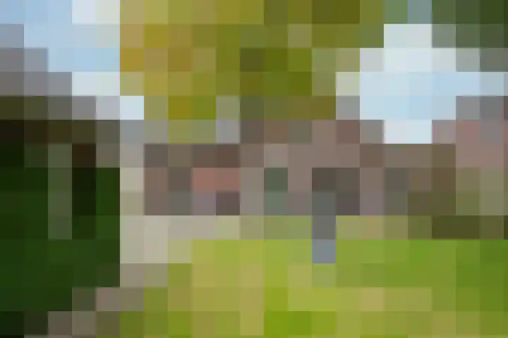 Ortjensveldweg 14 Vlodrop thumbnail 31