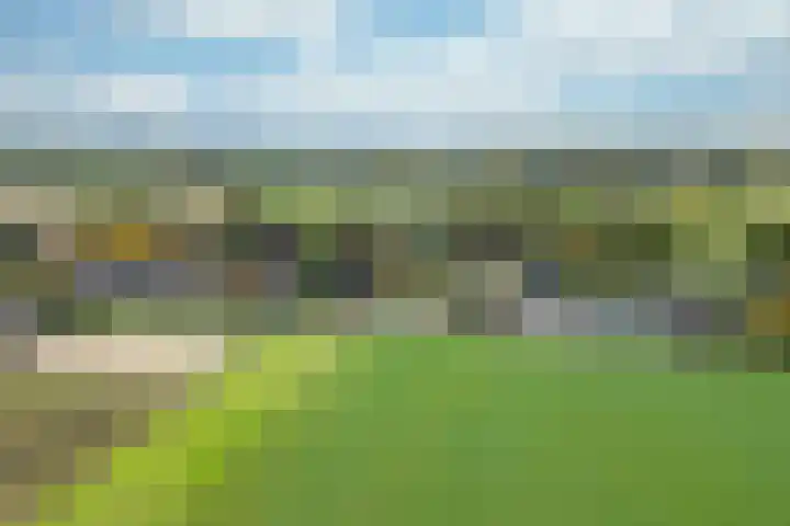 Ortjensveldweg 14 Vlodrop thumbnail 35