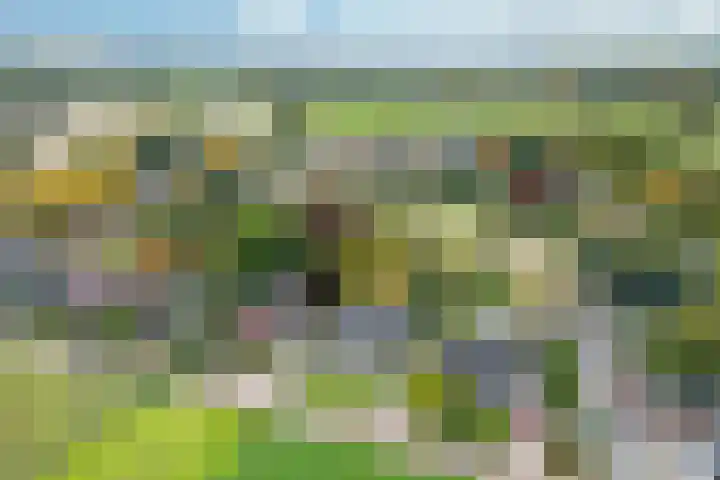 Ortjensveldweg 14 Vlodrop thumbnail 36