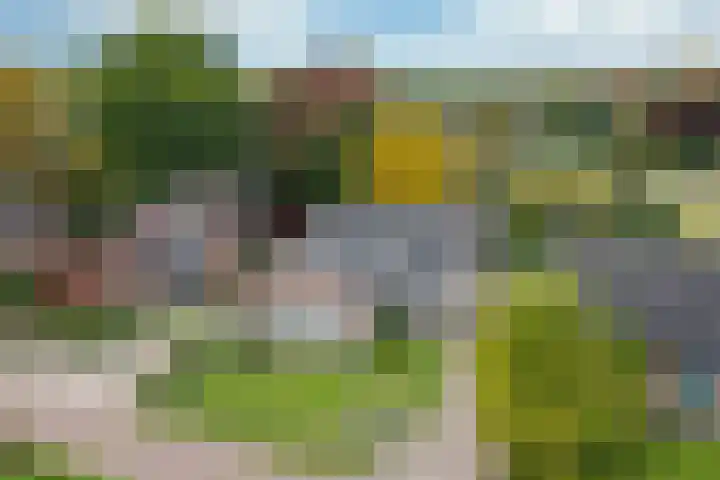 Ortjensveldweg 14 Vlodrop thumbnail 38