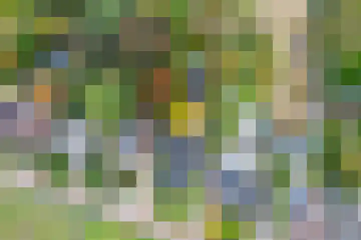 Ortjensveldweg 14 Vlodrop thumbnail 39