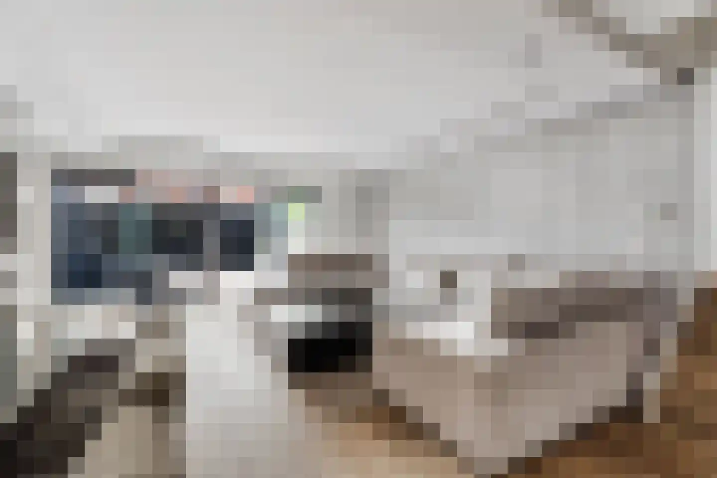 Ortler 91 Amsterdam thumbnail 7
