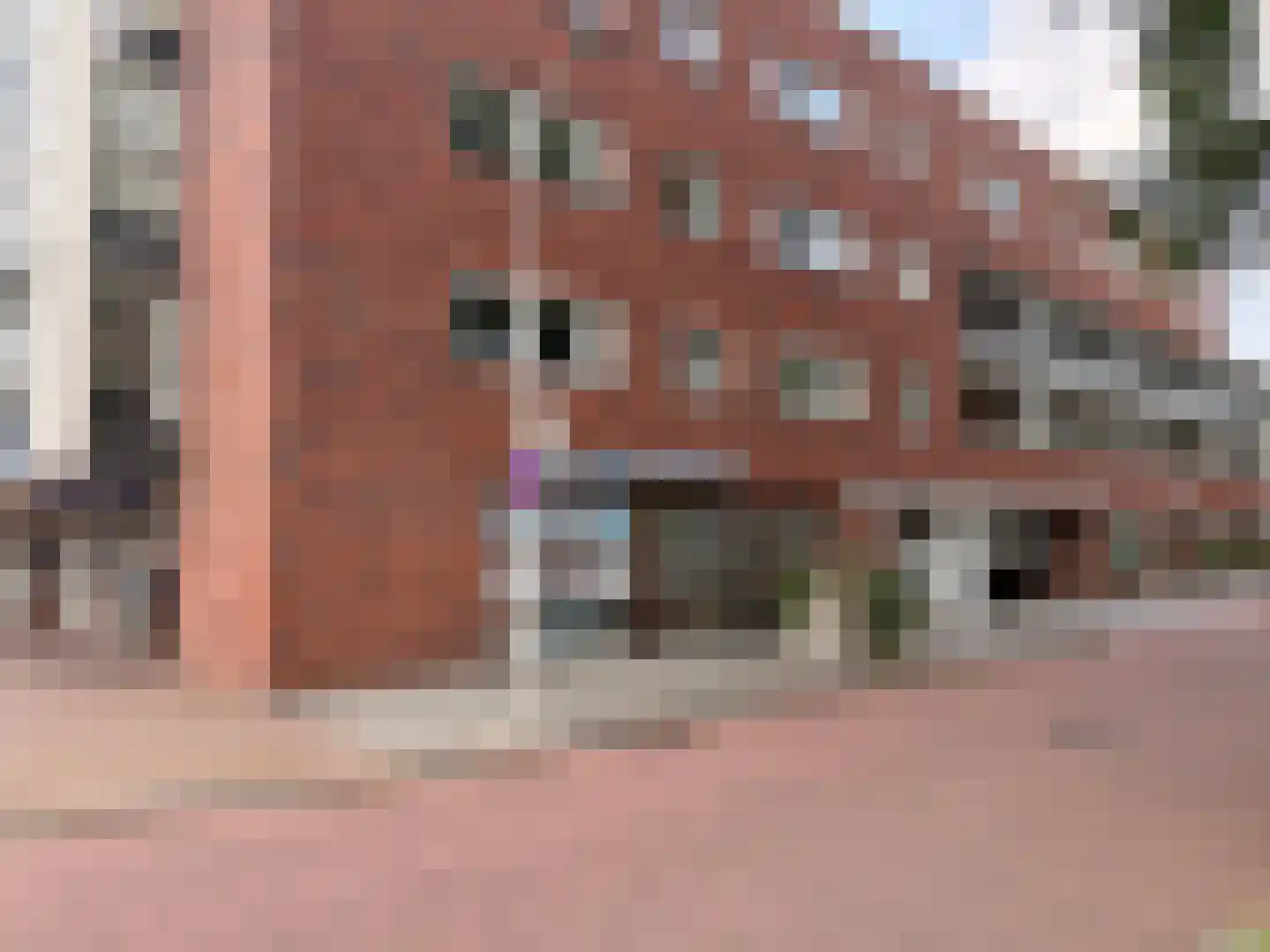 Ortolaanstraat 21 Alphen aan den Rijn thumbnail 6