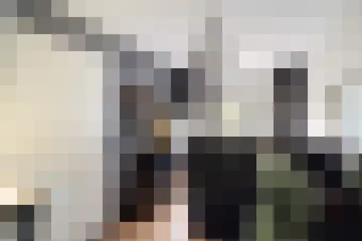 Ortolaanstraat 31 Alphen aan den Rijn thumbnail 33