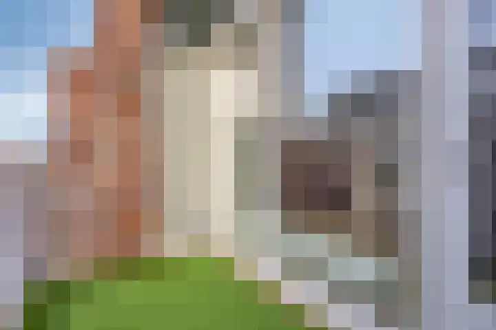 Ortolaanstraat 37 Alphen aan den Rijn thumbnail 31