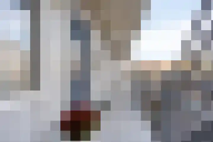 Ortolaanstraat 37 Alphen aan den Rijn thumbnail 8
