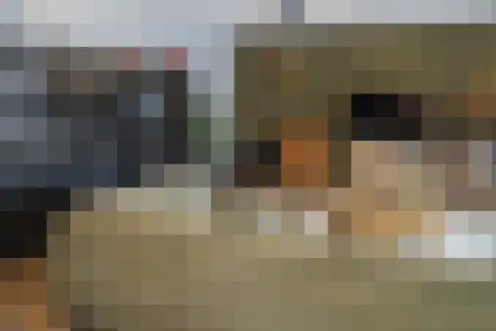Ortolaanstraat 9 Alphen aan den Rijn thumbnail 20