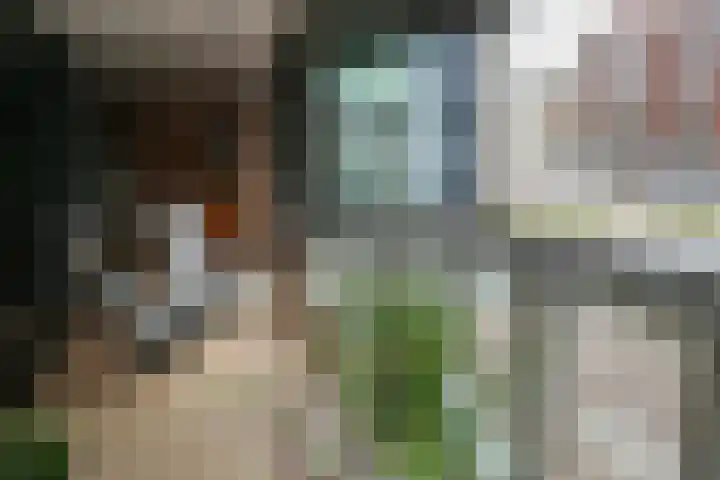 Ortolaanstraat 9 Alphen aan den Rijn thumbnail 32