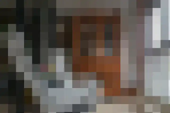 Ortolaanstraat 9 Alphen aan den Rijn thumbnail 33