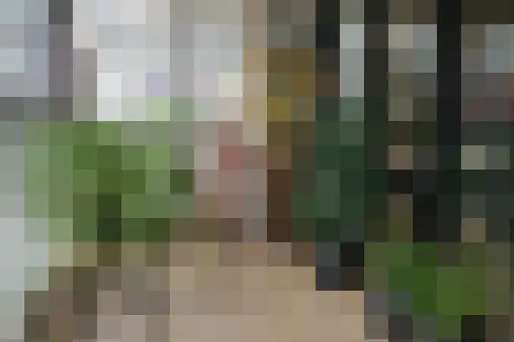 Ortolaanstraat 9 Alphen aan den Rijn thumbnail 34