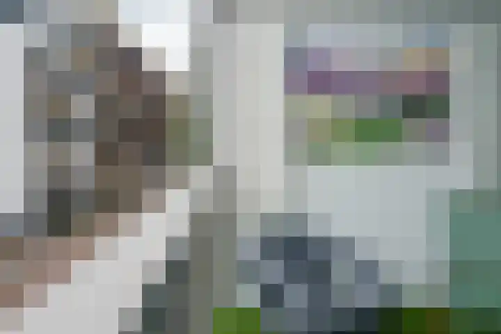 Ortolaanstraat 9 Alphen aan den Rijn thumbnail 45