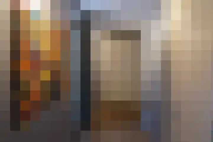 Ortolaanstraat 9 Alphen aan den Rijn thumbnail 47