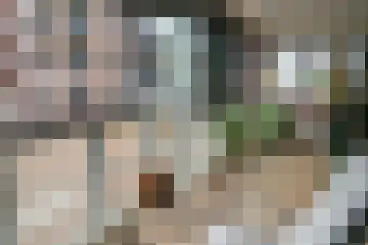 Ortolaanstraat 9 Alphen aan den Rijn thumbnail 5