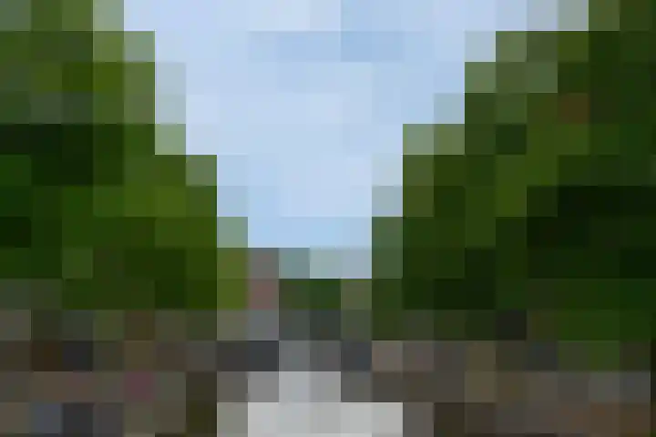 Ortolaanstraat 9 Alphen aan den Rijn thumbnail 62