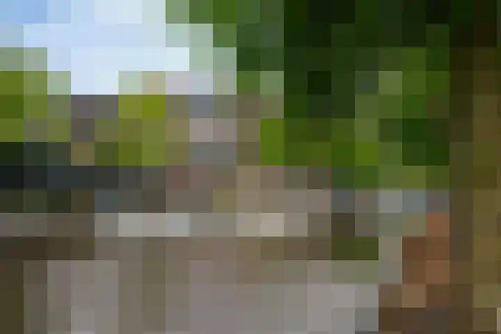 Ortolaanstraat 9 Alphen aan den Rijn thumbnail 63