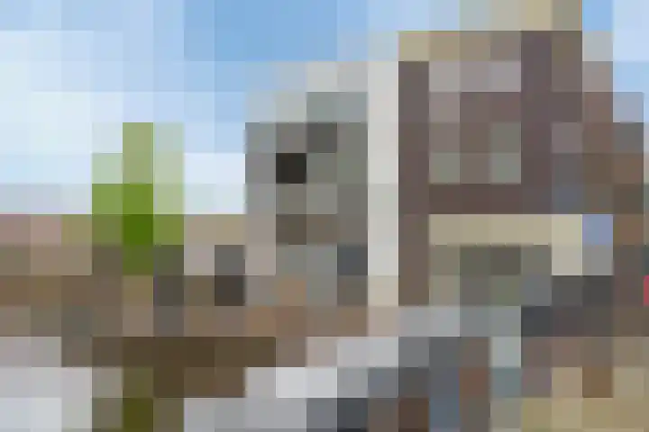 Ortolaanstraat 9 Alphen aan den Rijn thumbnail 64