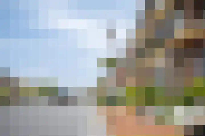 Ortolaanstraat 9 Alphen aan den Rijn thumbnail 66