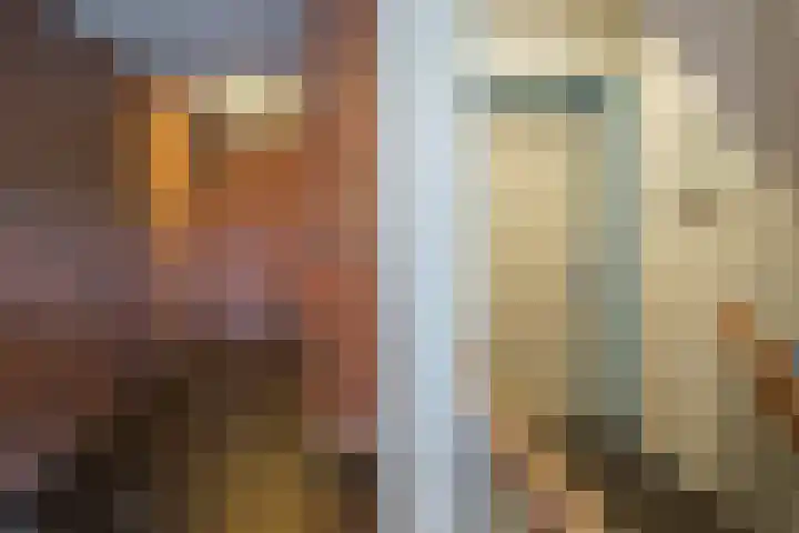 Ortolaanstraat 9 Alphen aan den Rijn thumbnail 8