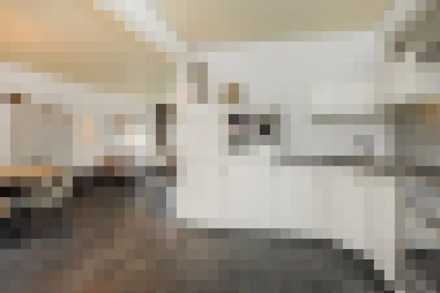 Ortstraat 24 Oss thumbnail 11