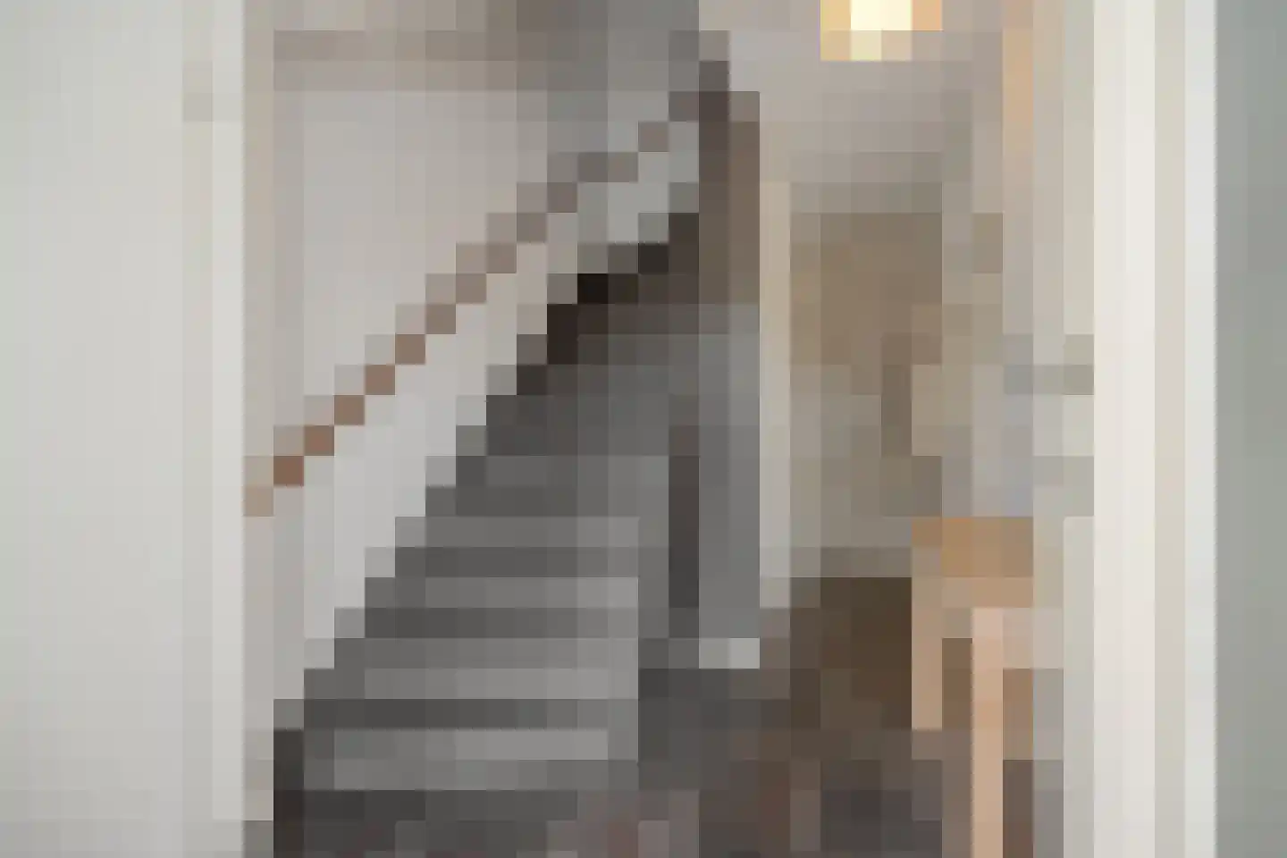Ortstraat 24 Oss thumbnail 13