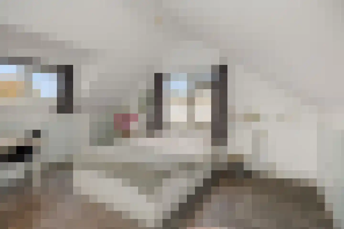 Ortstraat 24 Oss thumbnail 23