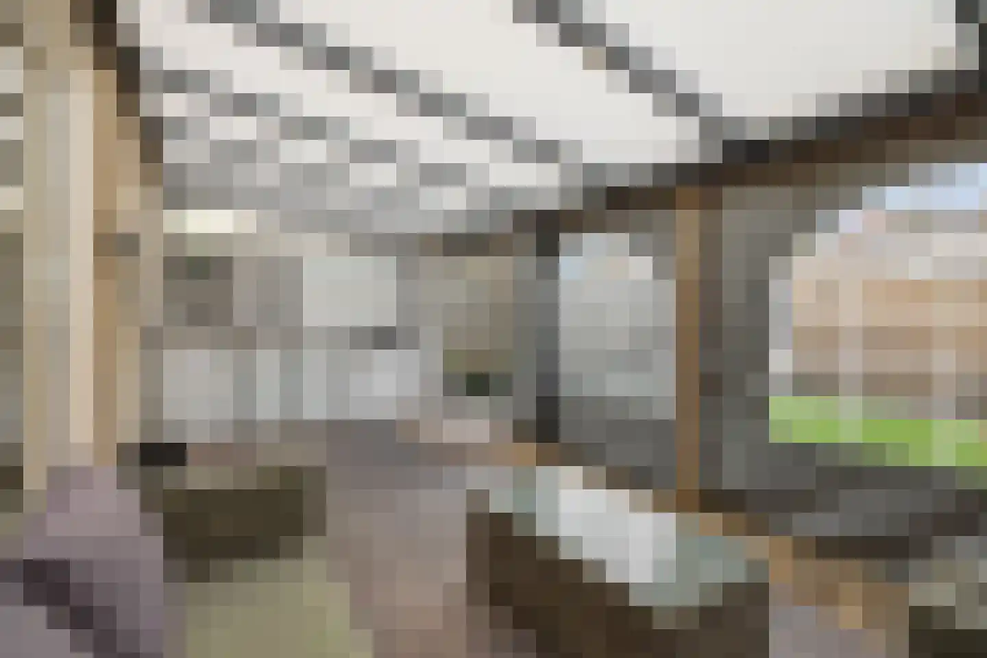 Ortstraat 24 Oss thumbnail 26