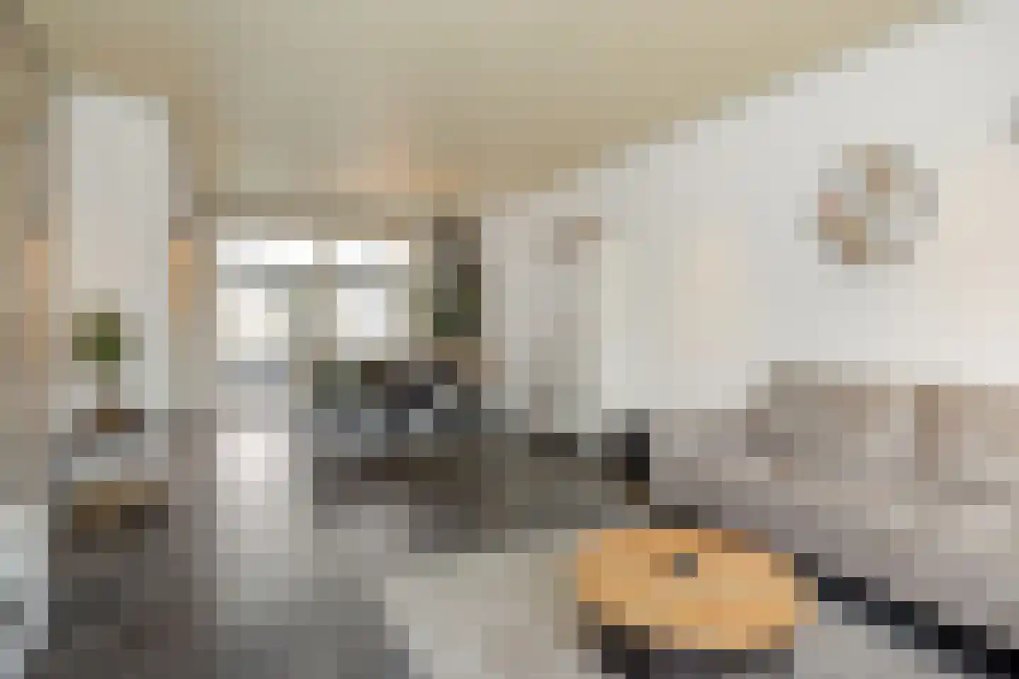 Ortstraat 24 Oss thumbnail 5
