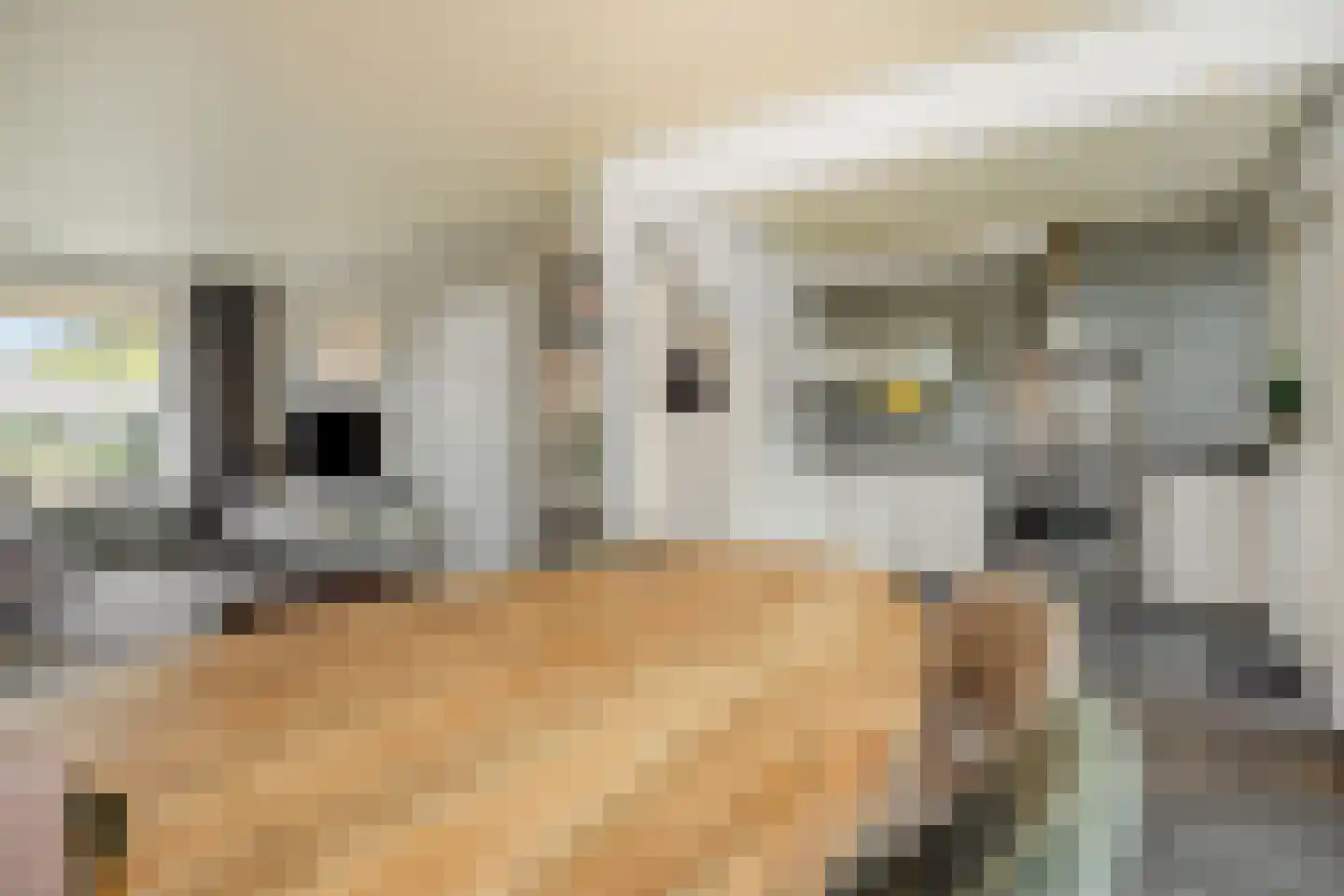 Ortstraat 24 Oss thumbnail 8