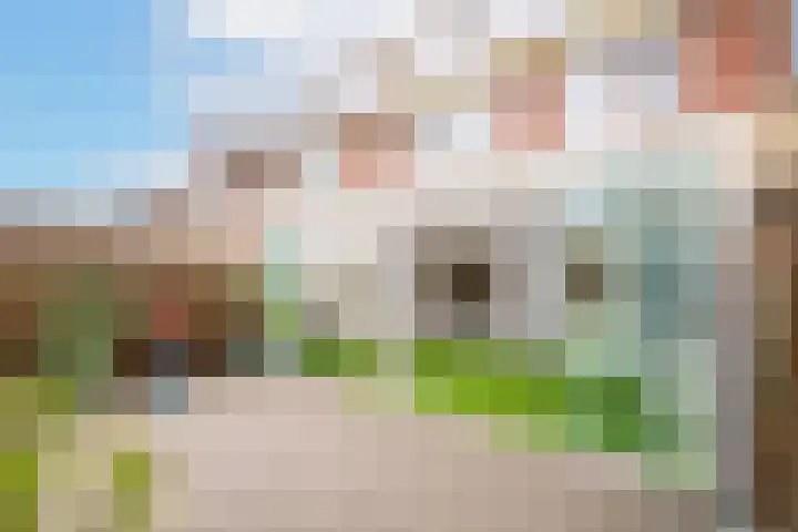 Ortstraat 4 Oss thumbnail 20