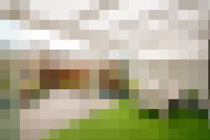 Ortstraat 4 Oss thumbnail 21