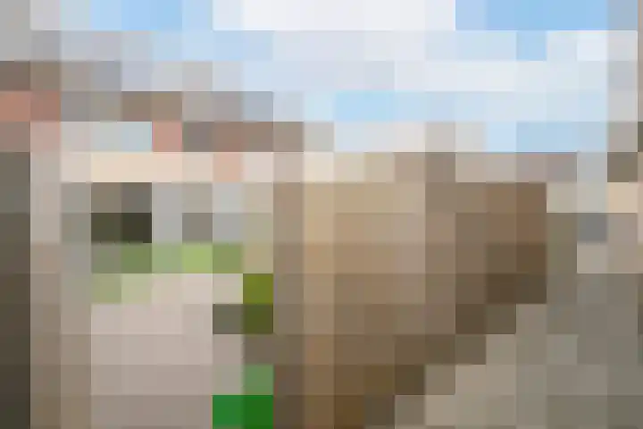 Ortstraat 4 Oss thumbnail 24