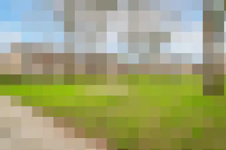 Ortstraat 4 Oss thumbnail 25