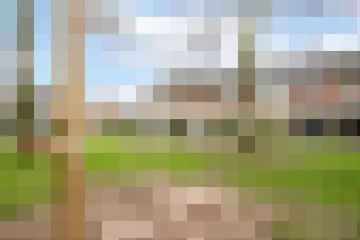 Ortstraat 4 Oss thumbnail 5
