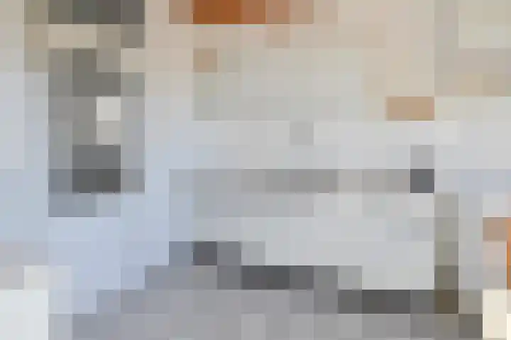 Orttswarande 1 Breukelen thumbnail 17