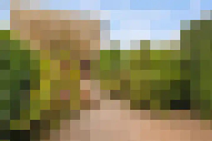 Orttswarande 21 Breukelen thumbnail 28