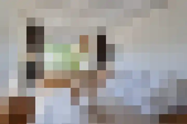 Orvallaan 11 Eindhoven thumbnail 12