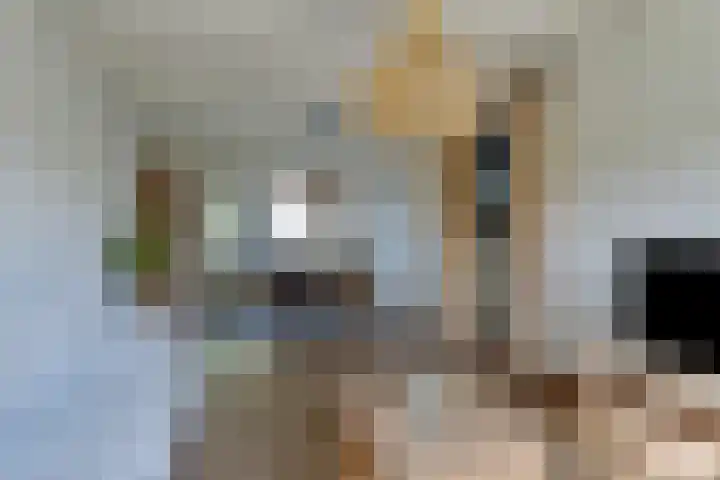 Orvallaan 11 Eindhoven thumbnail 13