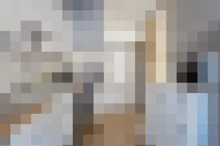 Orvallaan 11 Eindhoven thumbnail 17