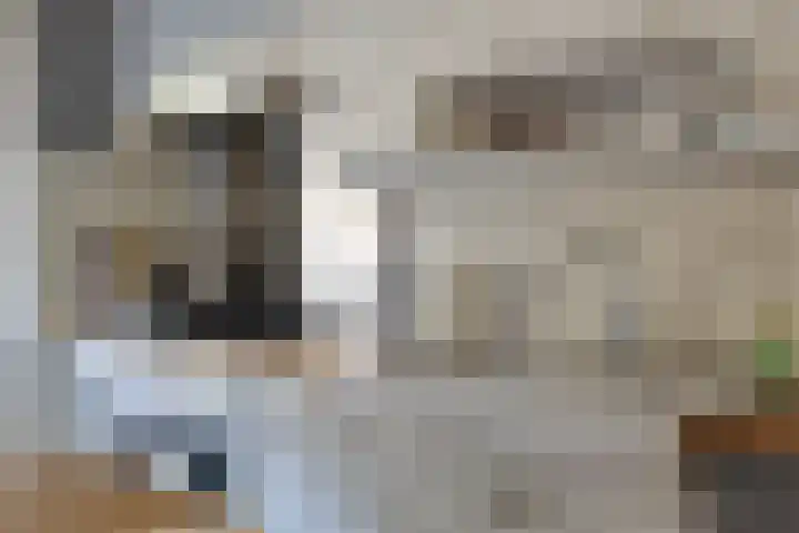 Orvallaan 11 Eindhoven thumbnail 18
