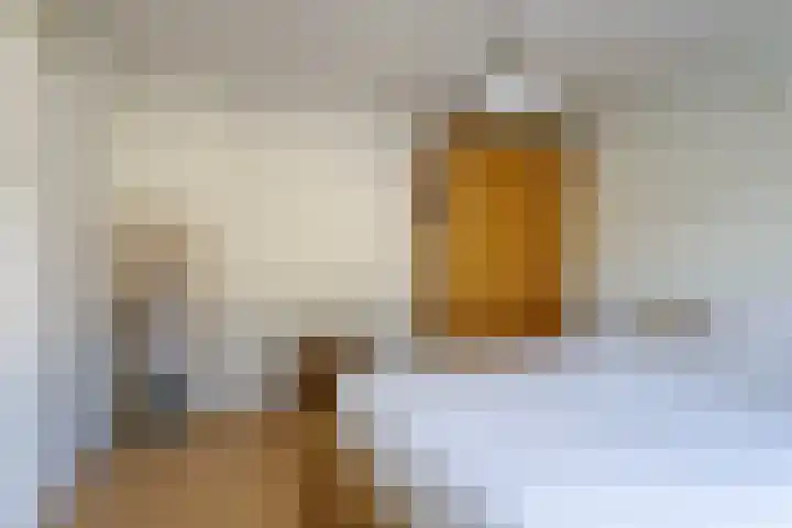 Orvallaan 11 Eindhoven thumbnail 21